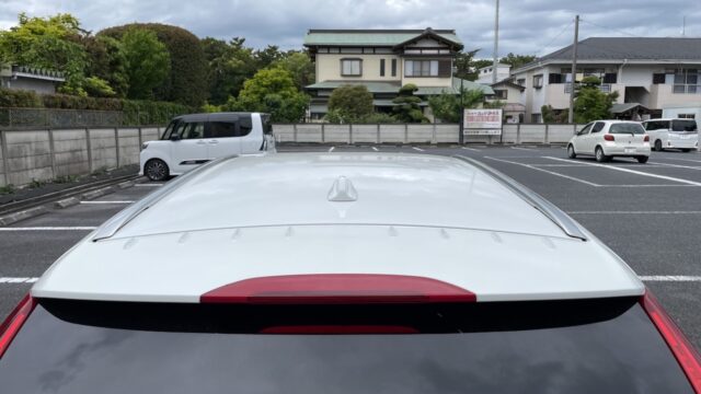 エアロフィンプロテクターの後付け感2
