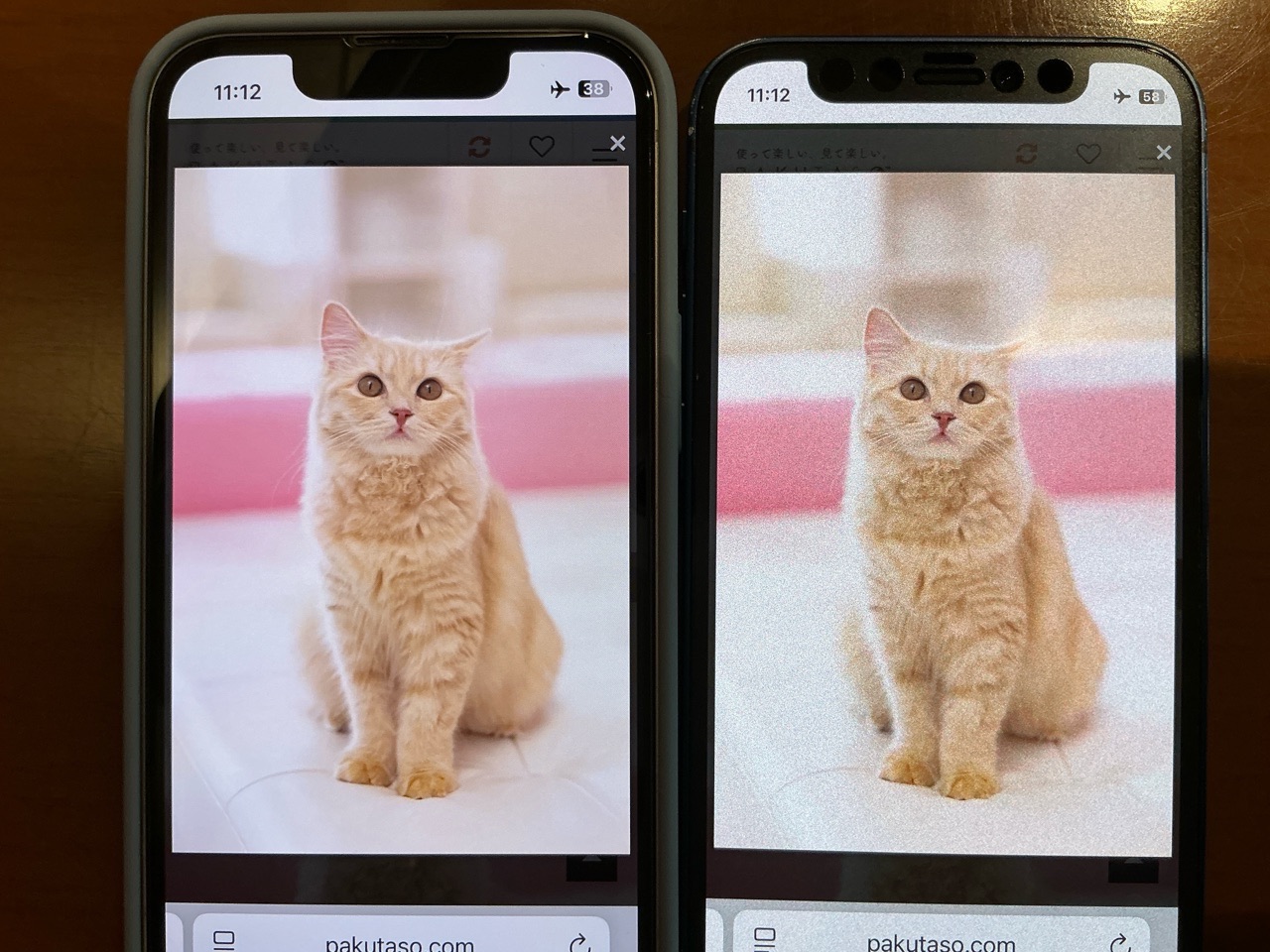 光沢フィルムとペーパーライクフィルムの比較