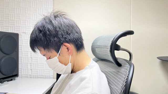 ネックピローなし